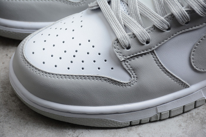 nike dunk low retro dd1391-103